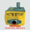 CBJ40-B40L-B5K齿轮泵