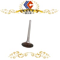 615600050006 进气门