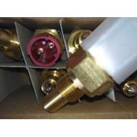 倒擋壓力開關(guān)DIN接頭(常開)WG2209280023