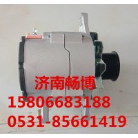 东风天锦发电机C493018