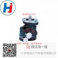 轉(zhuǎn)向葉片泵 DZ9118130010