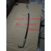 雙彎垂直軟管  WG9719820272