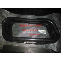 密封條  WG9725190571