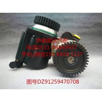 陜汽重卡原廠轉(zhuǎn)向油泵、轉(zhuǎn)子泵DZ91259470708
