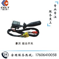 WG9918580015 组合开关