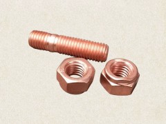 81560110187,Supercharger double head screw (short),济南向前汽车配件有限公司