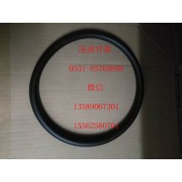 710W08902-0020密封圈 汕德卡配件