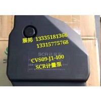  斯太尔 豪瀚 SCR计量泵