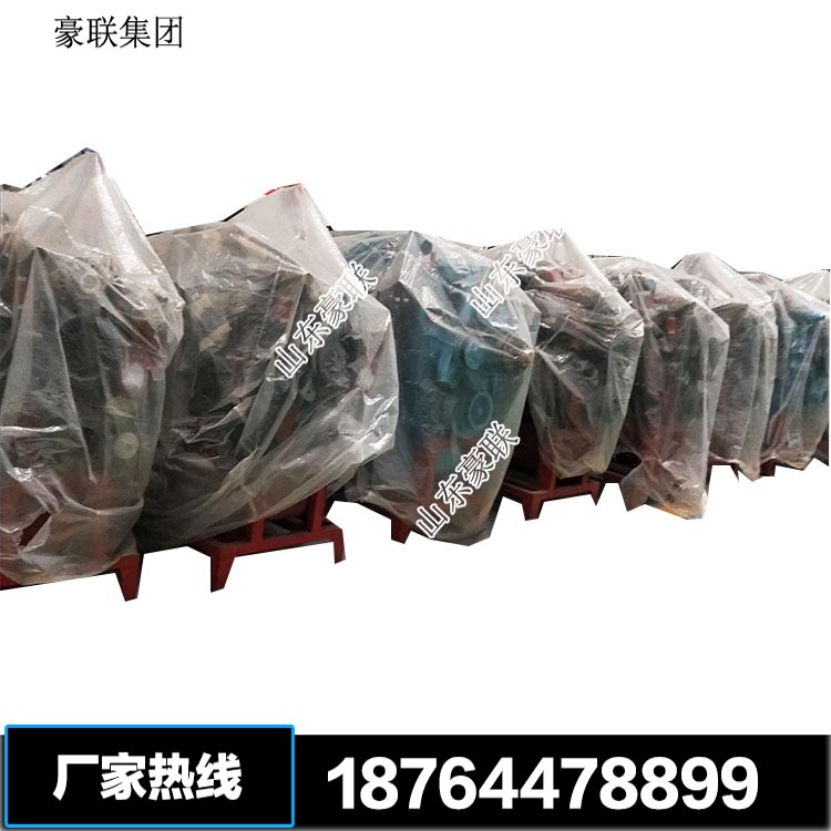 天然气发动机 (2)