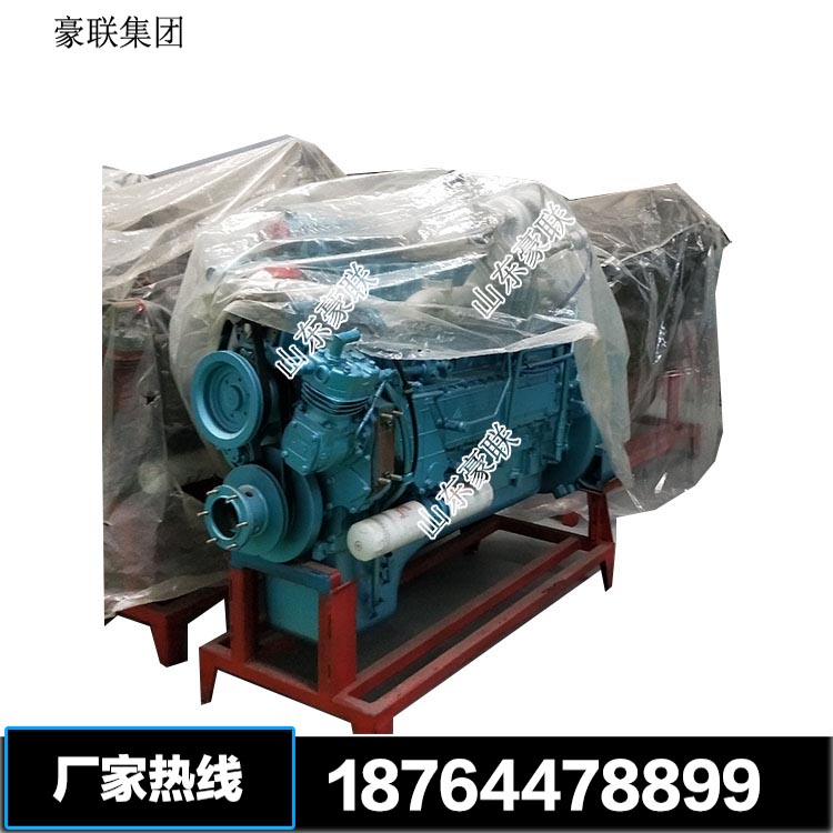 天然气发动机 (4)