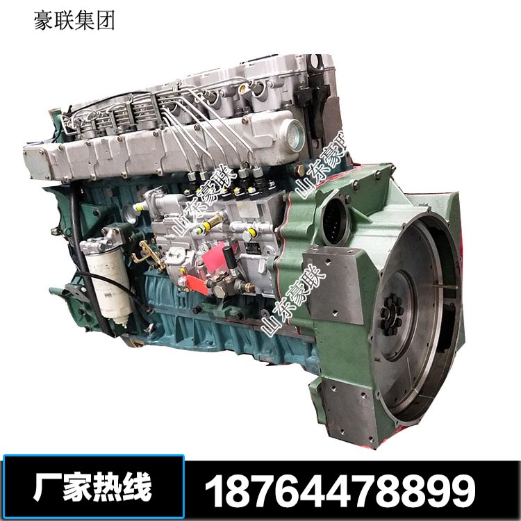 天然气发动机 (1)