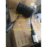 WG97247700157芯柔性電纜 汕德卡配件
