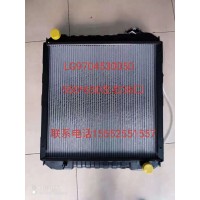 水箱散熱器總成LG9704530050
