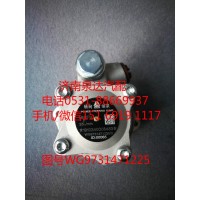 重汽豪沃转向油泵、助力泵WG9731471225