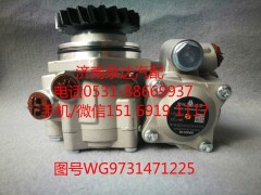 WG9731471225,转向助力泵,济南泉达汽配有限公司