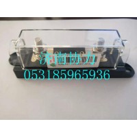 WG9725580006   100A保险装置