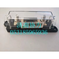 WG9725580016  200A保险装置