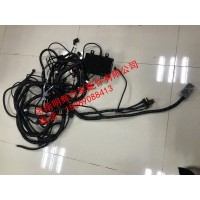 重汽豪沃轻卡配件底盘线束，重汽HOWO轻卡配件