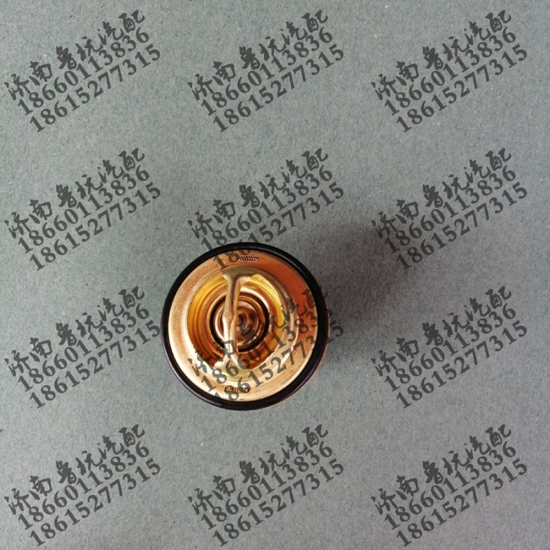 VG1246060024,调温器,济南鲁杭汽配有限公司