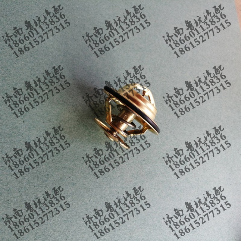 VG1246060029,调温器,济南鲁杭汽配有限公司