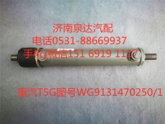 WG9131470250/1,助力缸总成,济南泉达汽配有限公司