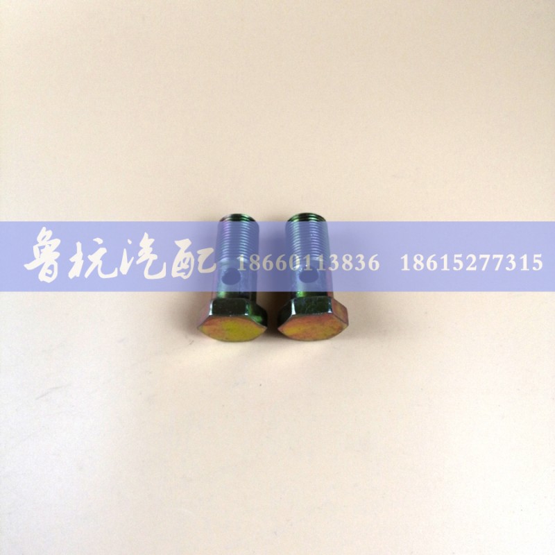 ,空芯螺丝ø26,济南鲁杭汽配有限公司