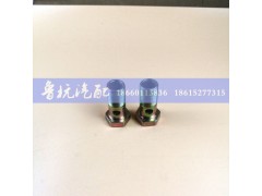 ,空芯螺丝ø26,济南鲁杭汽配有限公司