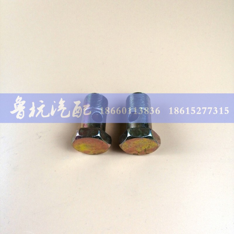 ,空芯螺丝ø22,济南鲁杭汽配有限公司