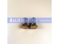 ,空芯螺丝ø22,济南鲁杭汽配有限公司