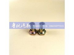 ,空芯螺丝ø22,济南鲁杭汽配有限公司