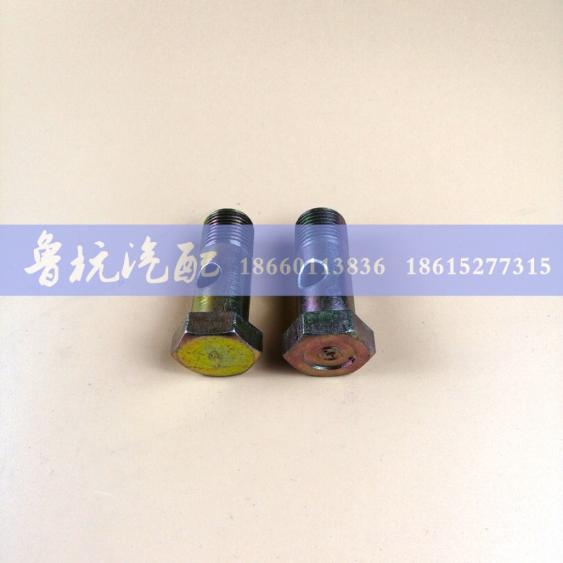 ,空芯螺丝ø20,济南鲁杭汽配有限公司