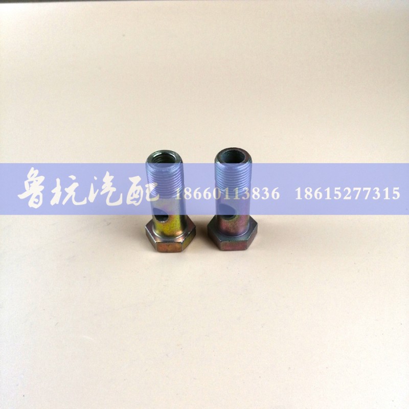 ,空芯螺丝ø20,济南鲁杭汽配有限公司