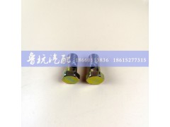 M=16,空芯螺丝16,济南鲁杭汽配有限公司