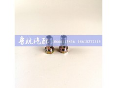 M=14,空芯螺丝14,济南鲁杭汽配有限公司