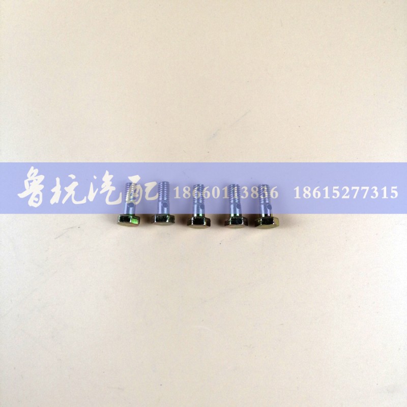 M=6,空芯螺丝6,济南鲁杭汽配有限公司