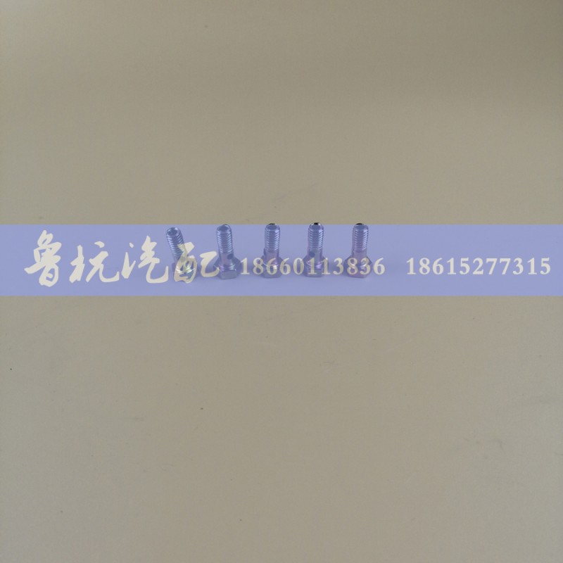 M=6,空芯螺丝6,济南鲁杭汽配有限公司