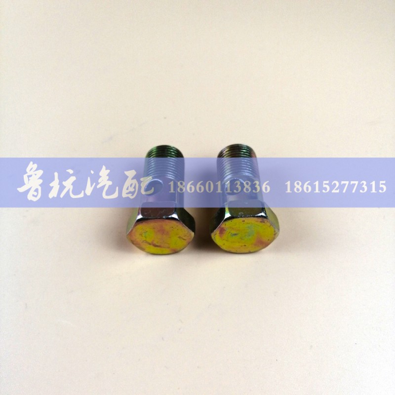 ,空芯螺丝20x35,济南鲁杭汽配有限公司