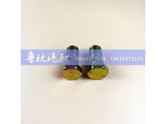 ,空芯螺丝20x35,济南鲁杭汽配有限公司