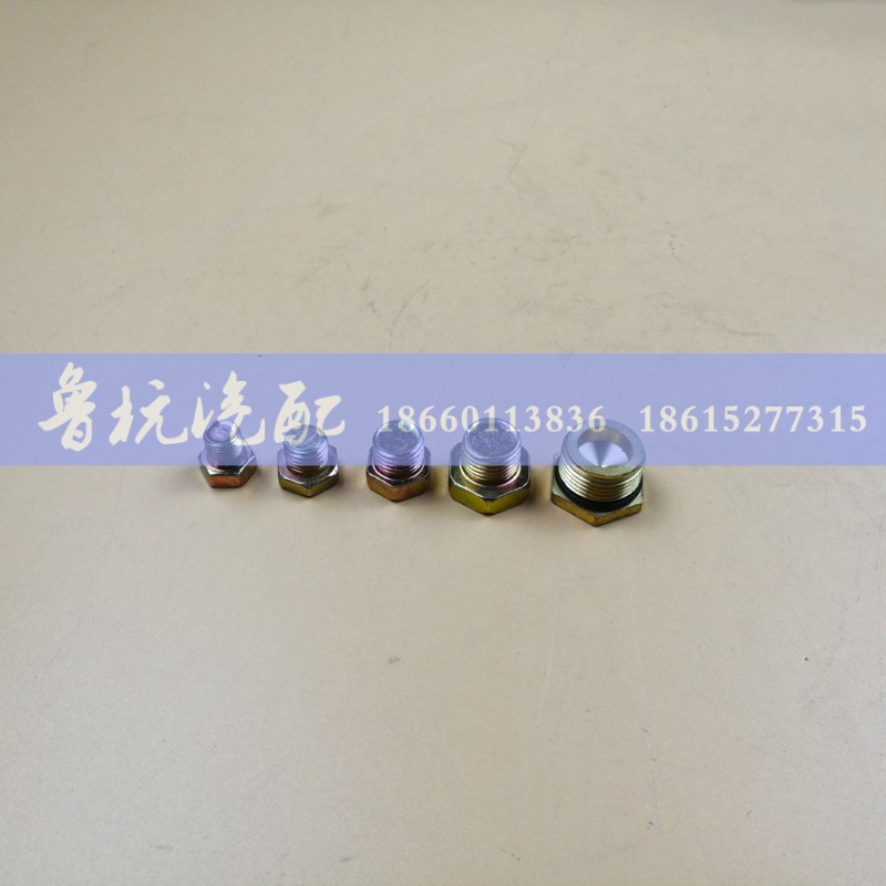 WG9000361012,堵塞NG12-M22X1.5,济南鲁杭汽配有限公司