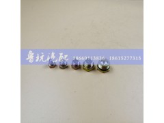 WG9000361012,堵塞NG12-M22X1.5,济南鲁杭汽配有限公司