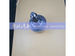 AZ9231320271,差速器总成9231320271,济南鲁杭汽配有限公司