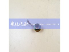 612600010750,618喷嘴组件（粗长）612600010750,济南鲁杭汽配有限公司