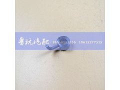 VG61560010090,WD615喷油嘴（好）活塞机油冷却喷嘴,济南鲁杭汽配有限公司