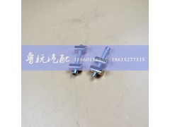 190003862467,中冷器紧固带螺丝,济南鲁杭汽配有限公司