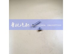 AZ9112340114,STR后轮油封（分体）,济南鲁杭汽配有限公司