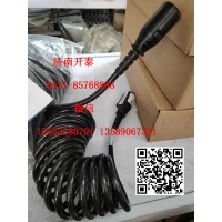 WG97252300417芯柔性電纜 汕德卡配件