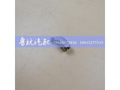 C01052,弯管接头45°,济南鲁杭汽配有限公司