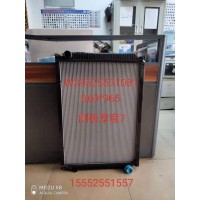WG9525531081散熱器