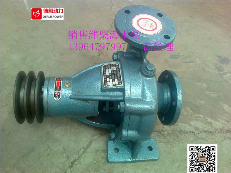 50-31z填料海水泵