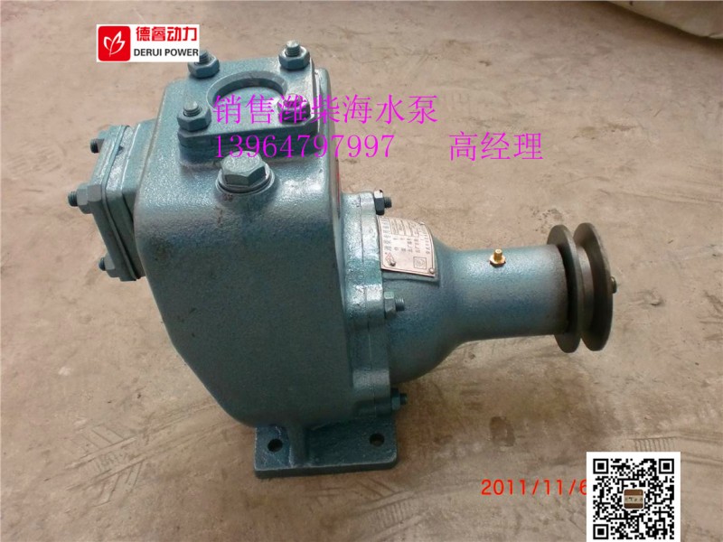 cwz40-15海水泵